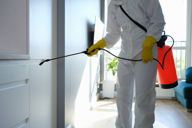 Best Home Mold Removal  in Frostproof, FL
