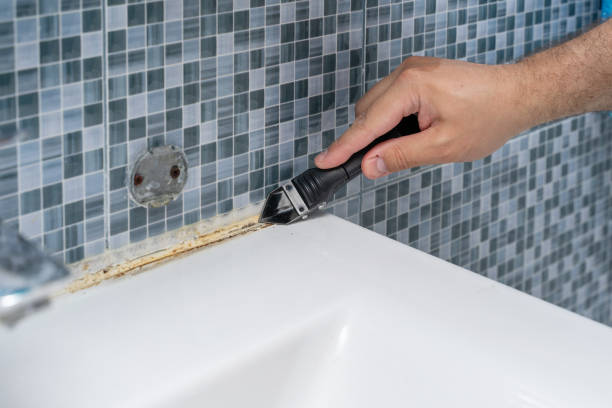 Best Certified Mold Removal  in Frostproof, FL